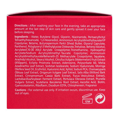 Ariul - Watermelon Hydro Vital Sleeping Face Mask - 80ml